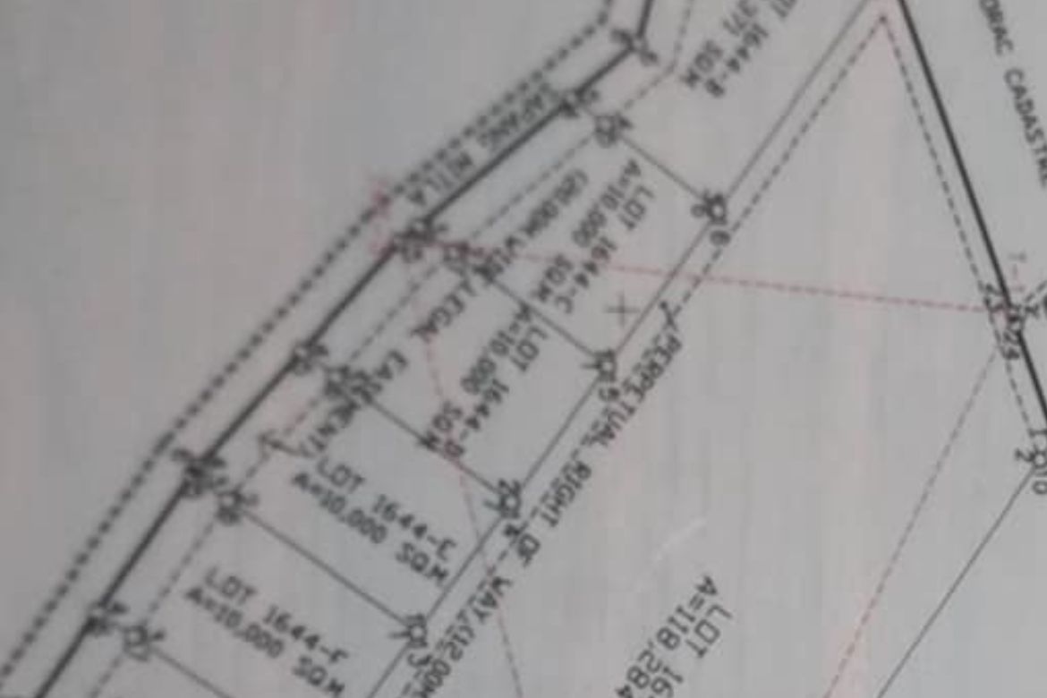 Land for Sale in Colubot, San Manuel, Tarlac – photo 8