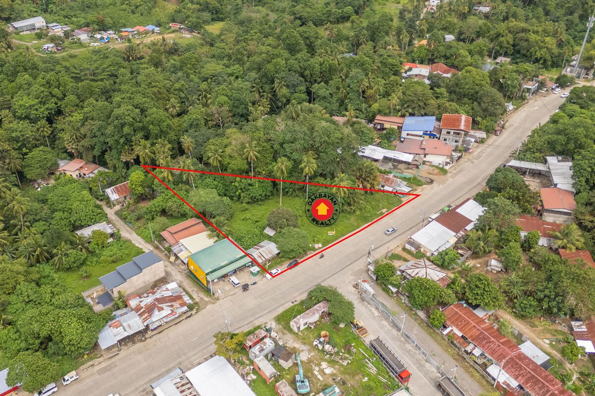 Land for Sale in Communal, Davao City, Davao del Sur – photo 2