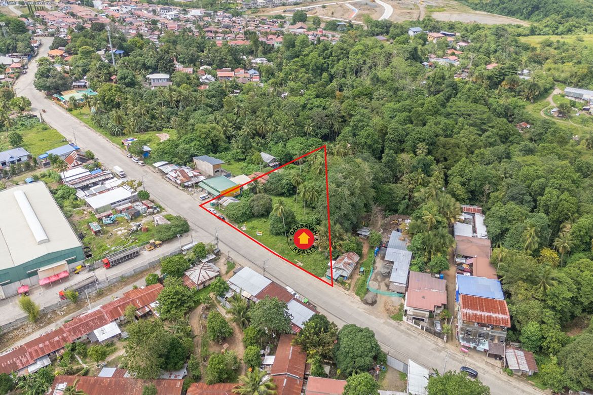 Land for Sale in Communal, Davao City, Davao del Sur – photo 4