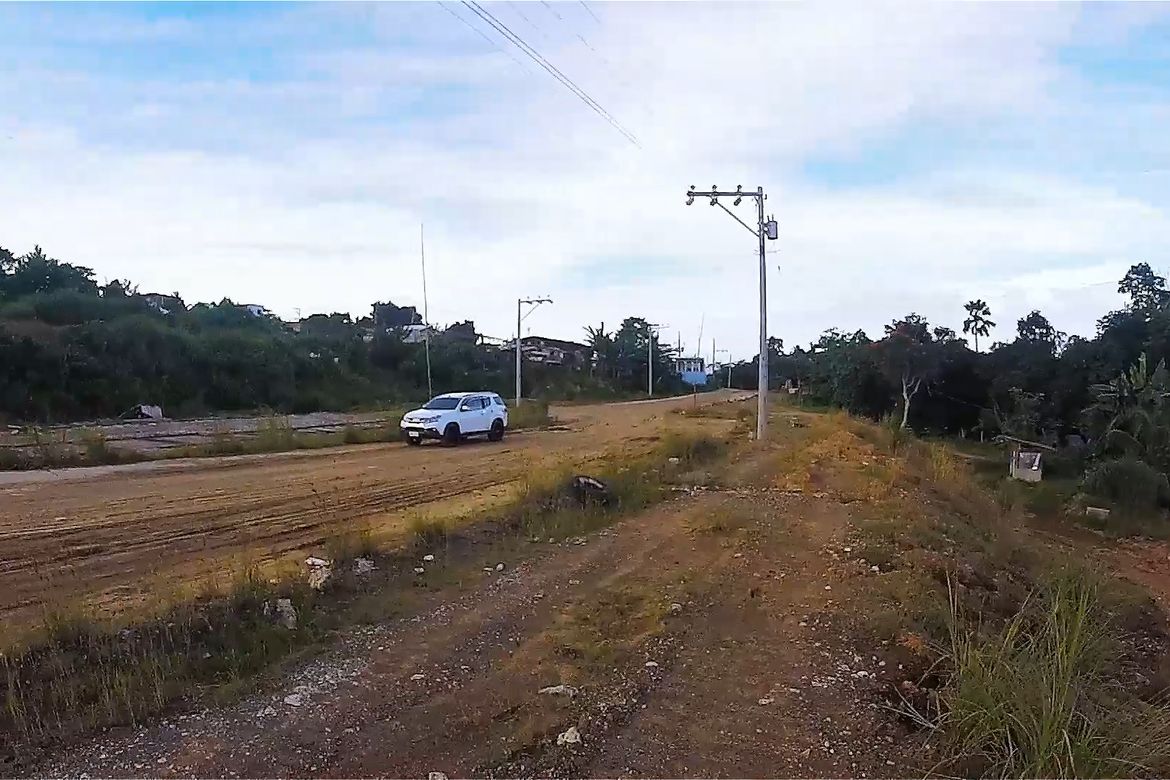 Land for Sale in Communal, Davao City, Davao del Sur – photo 4