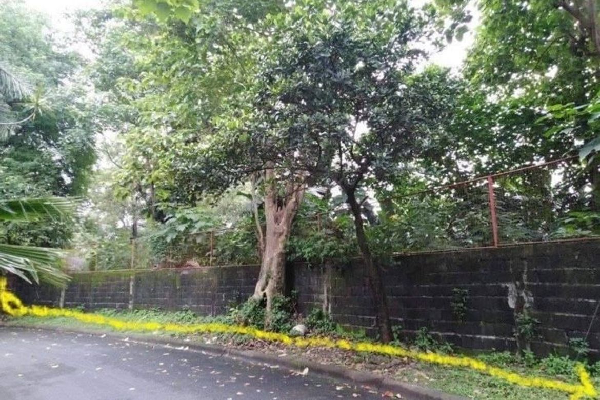 Land for Sale in Concepcion Dos, Marikina, Metro Manila