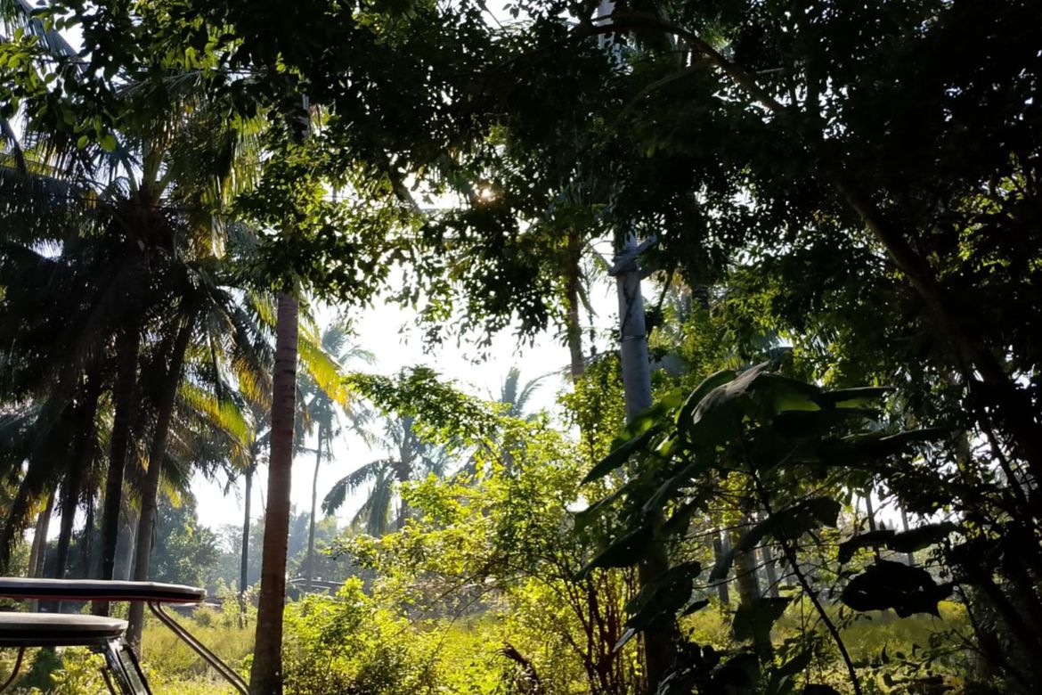 Land for Sale in Concepcion No. 1, Sariaya, Quezon – photo 3