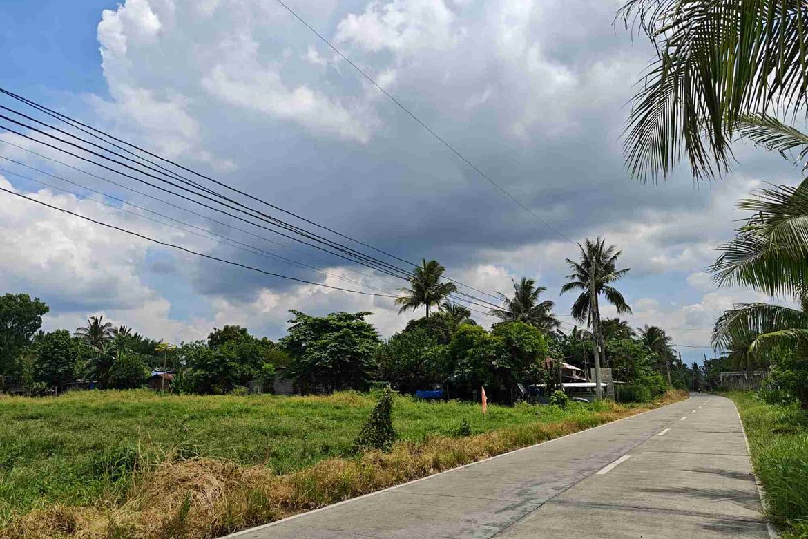 Land for Sale in Concepcion Palasan, Sariaya, Quezon – photo 2