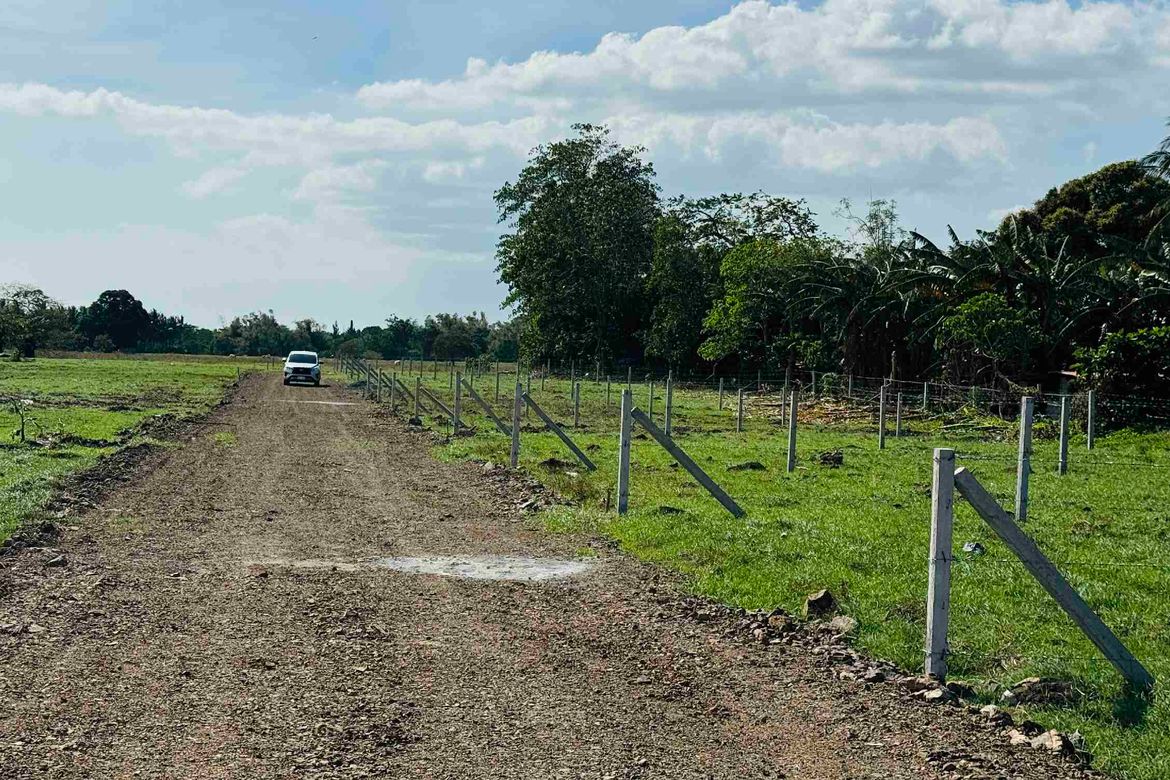 Land for Sale in Concepcion Palasan, Sariaya, Quezon – photo 5