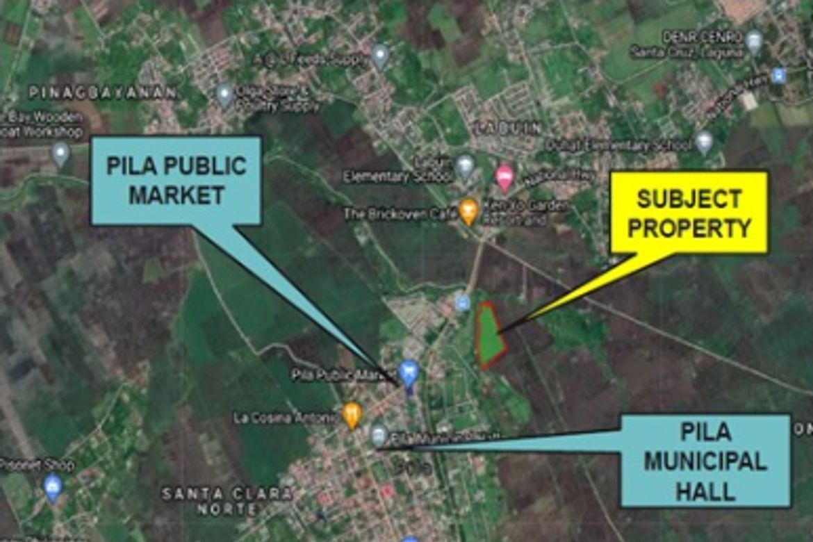 Land for Sale in Concepcion, Pila, Laguna – photo 5