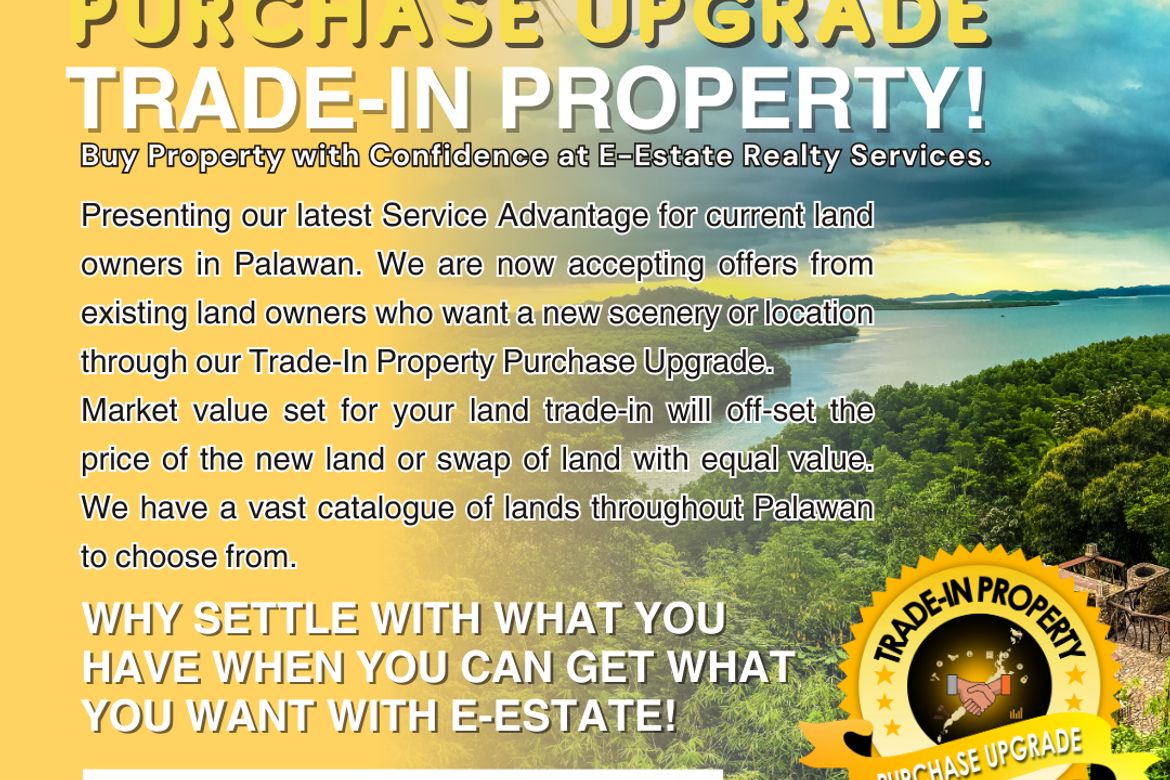 Land for Sale in Concepcion, Puerto Princesa, Palawan – photo 3