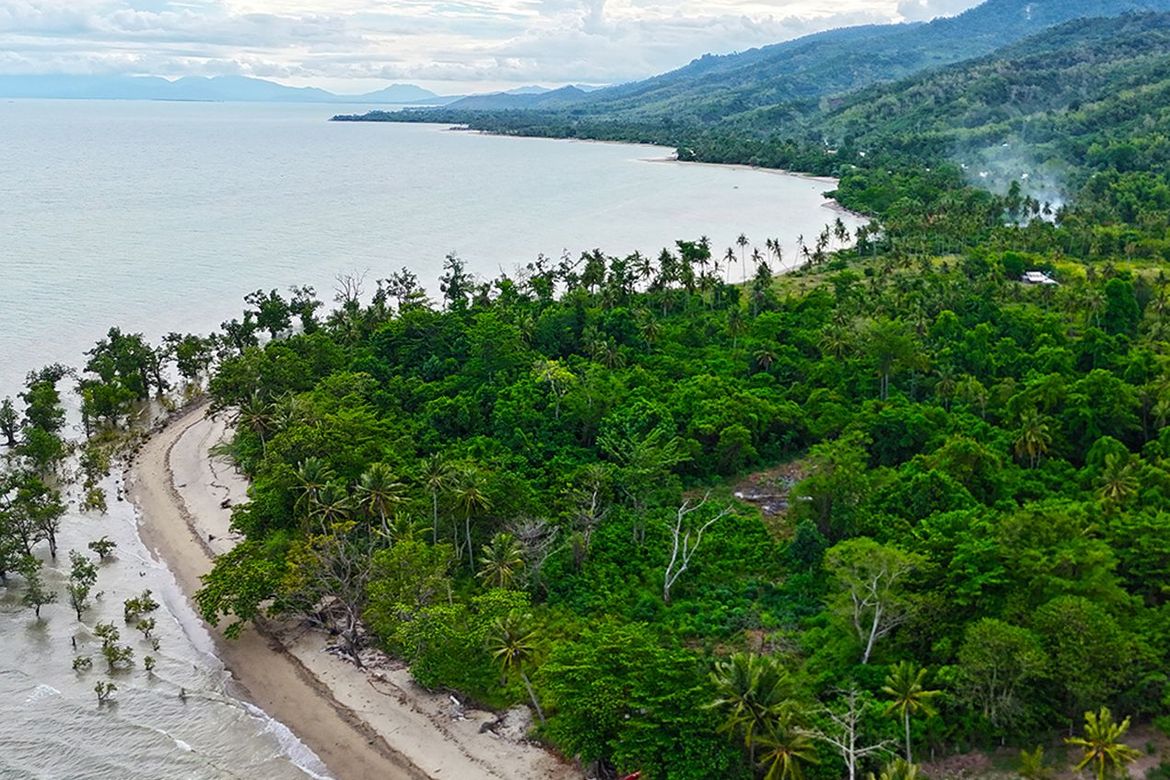 Land for Sale in Concepcion, Puerto Princesa, Palawan – photo 6