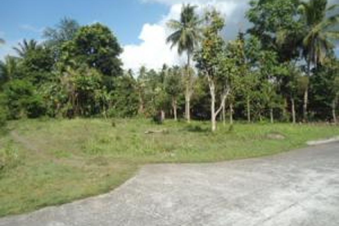 Land for Sale in Concepcion, San Pablo, Laguna