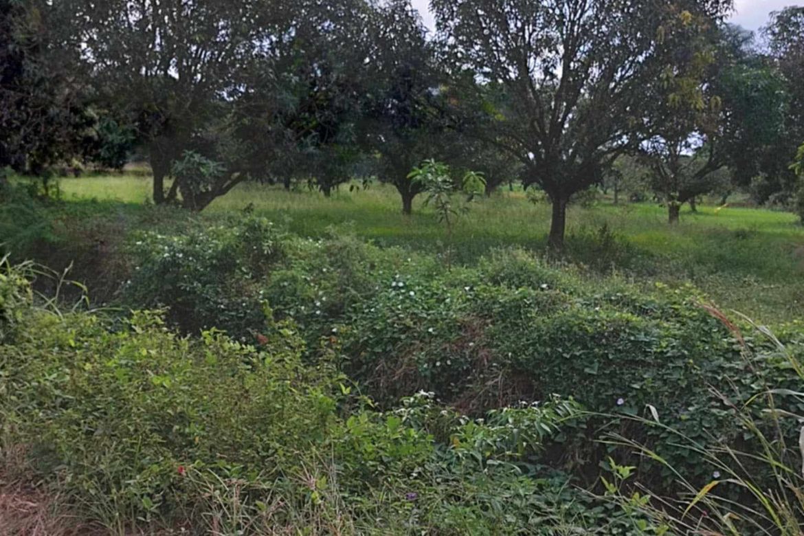Land for Sale in Concepcion, San Simon, Pampanga – photo 3