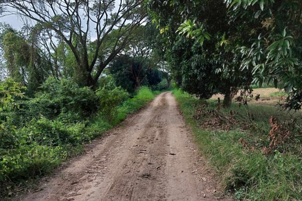 Land for Sale in Concepcion, San Simon, Pampanga – photo 4