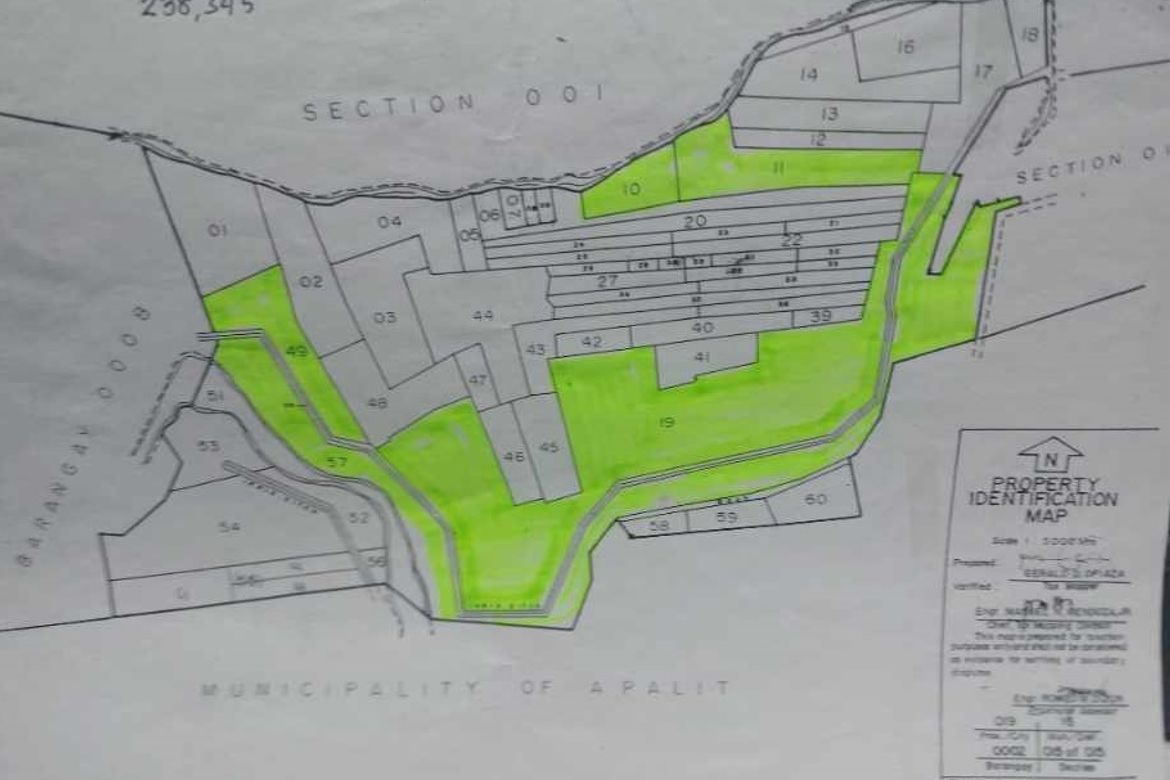 Land for Sale in Concepcion, San Simon, Pampanga – photo 7