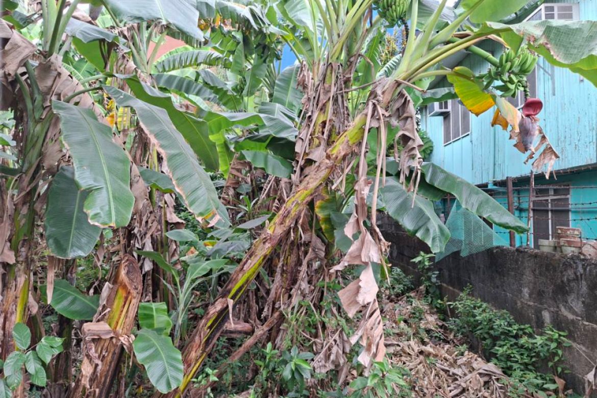 Land for Sale in Concepcion Uno, Marikina, Metro Manila