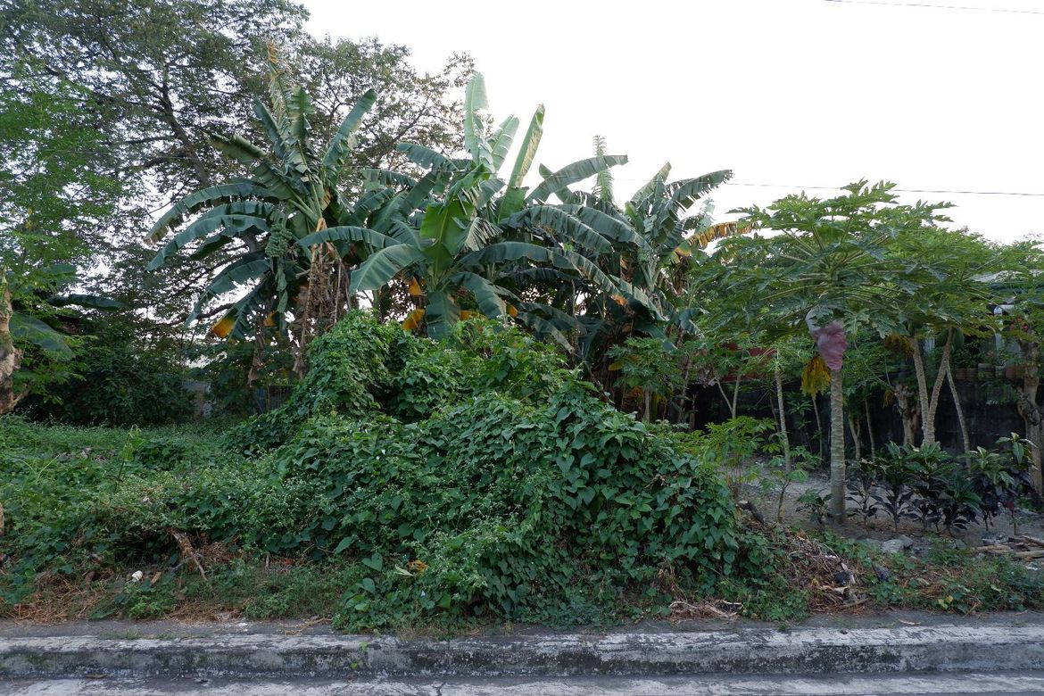 Land for Sale in Concepcion Uno, Marikina, Metro Manila – photo 6