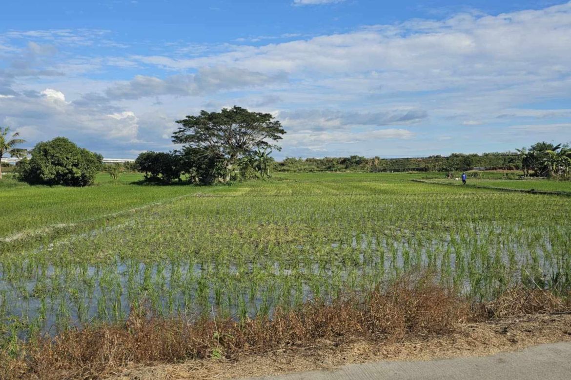 Land for Sale in Concepcion, Zaragoza, Nueva Ecija – photo 3