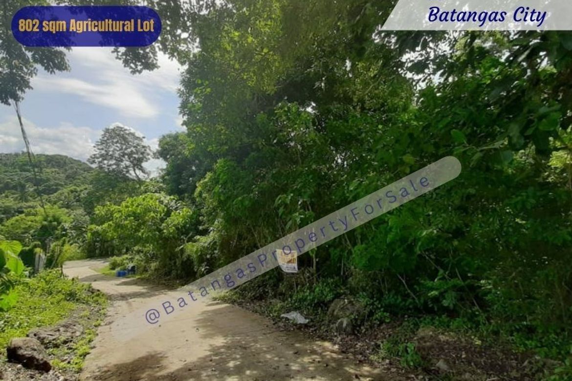 Land for Sale in Conde Itaas, Batangas City, Batangas