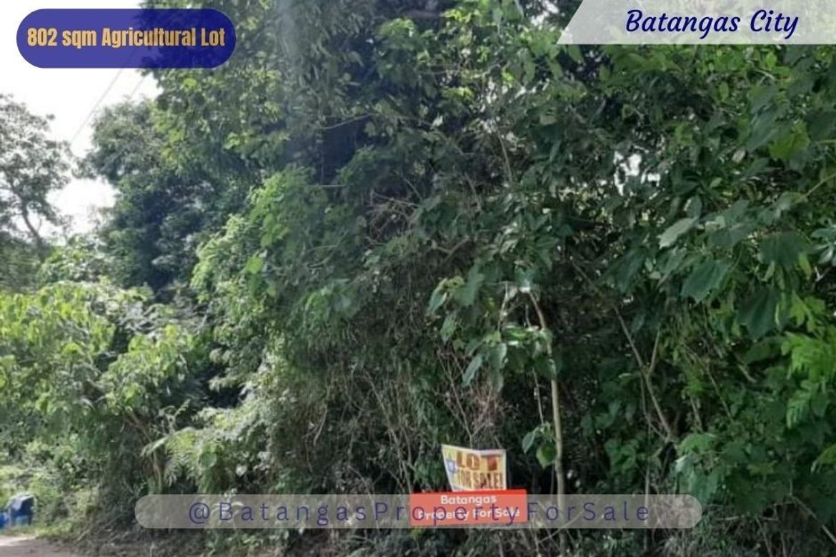 Land for Sale in Conde Itaas, Batangas City, Batangas – photo 2