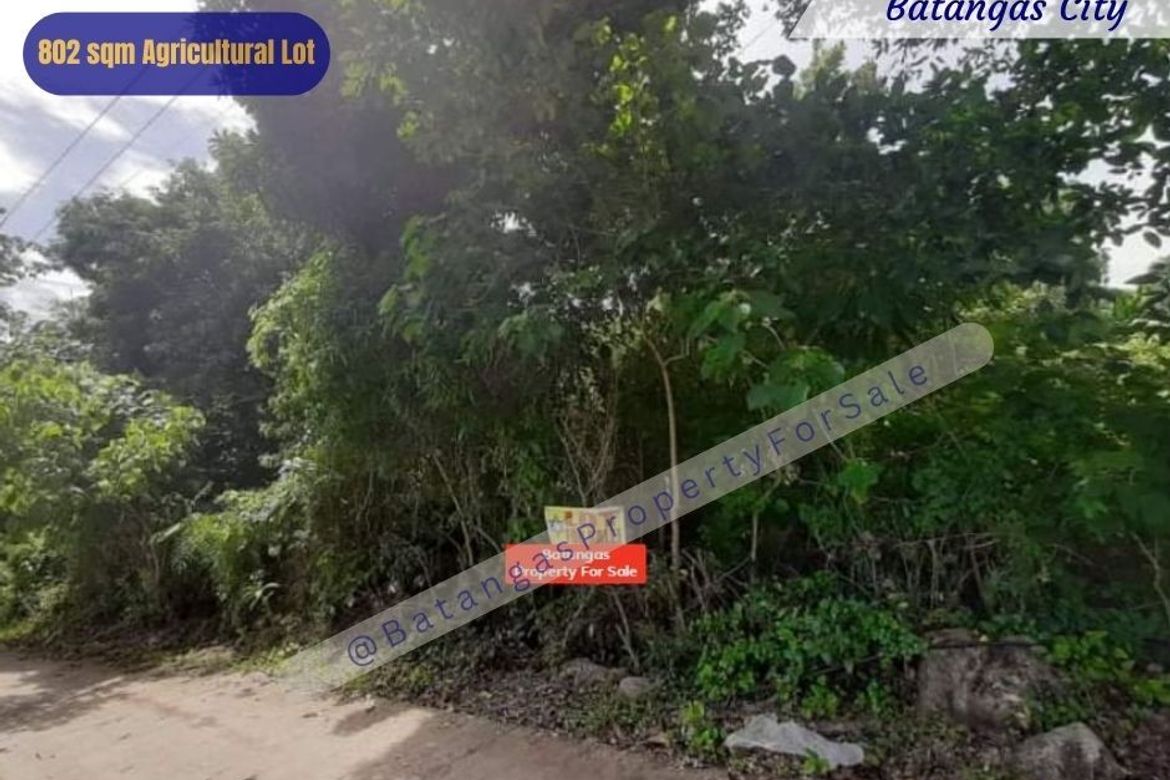 Land for Sale in Conde Itaas, Batangas City, Batangas – photo 3