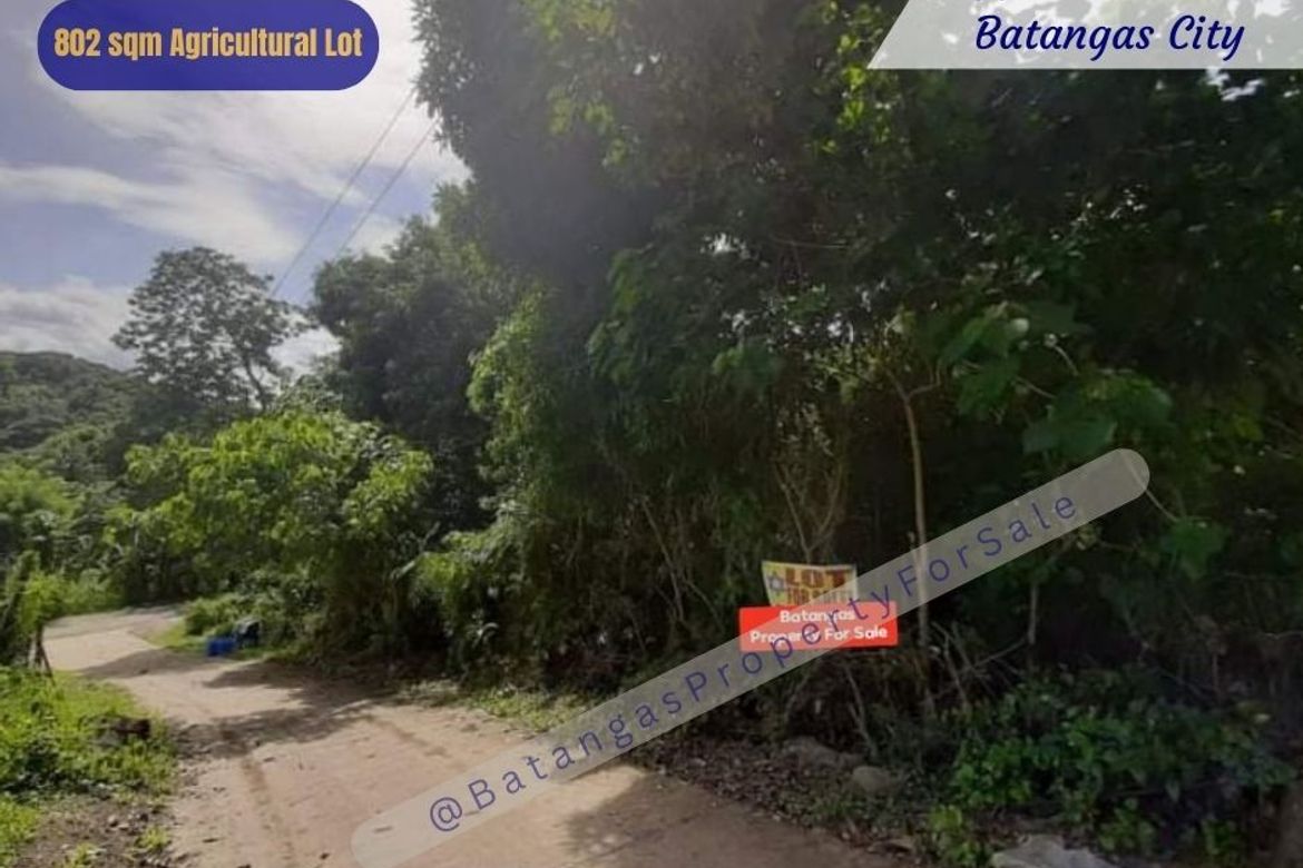 Land for Sale in Conde Itaas, Batangas City, Batangas – photo 5
