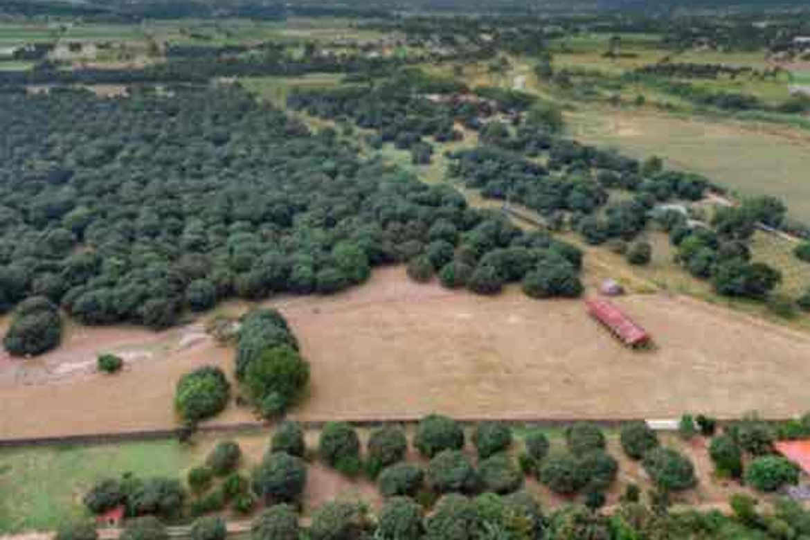 Land for Sale in Consuelo, Floridablanca, Pampanga – photo 4