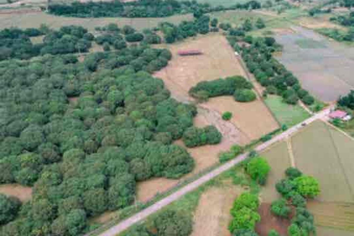 Land for Sale in Consuelo, Floridablanca, Pampanga – photo 5
