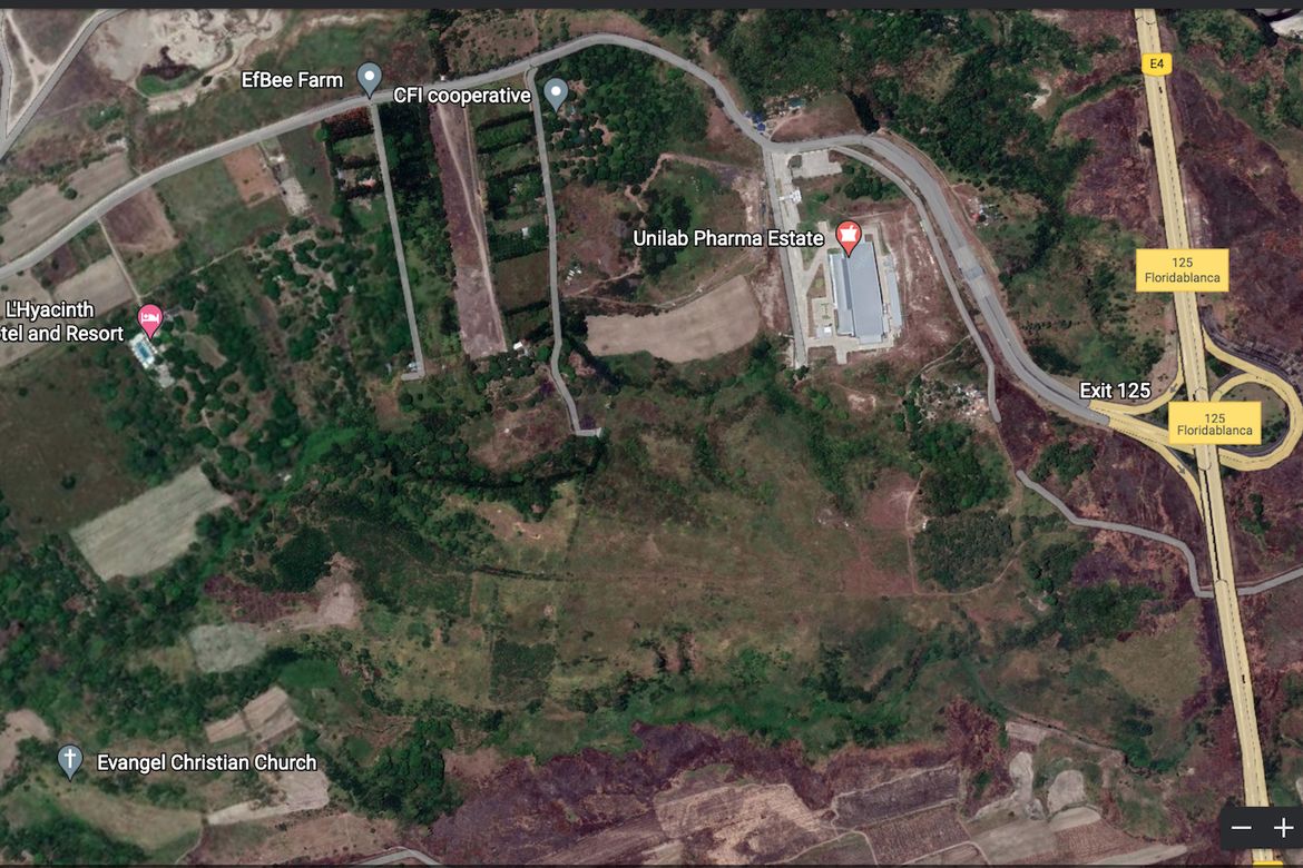 Land for Sale in Consuelo, Floridablanca, Pampanga