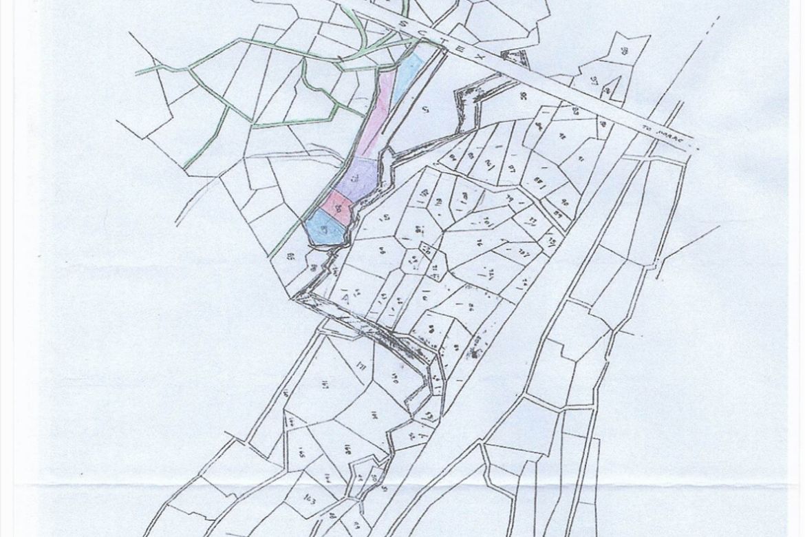 Land for Sale in Consuelo, Floridablanca, Pampanga – photo 3