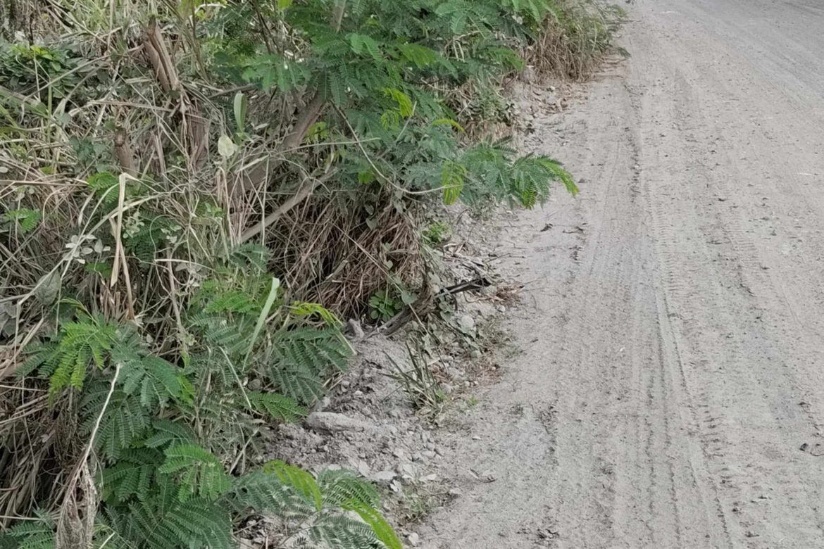 Land for Sale in Consuelo, Floridablanca, Pampanga – photo 2