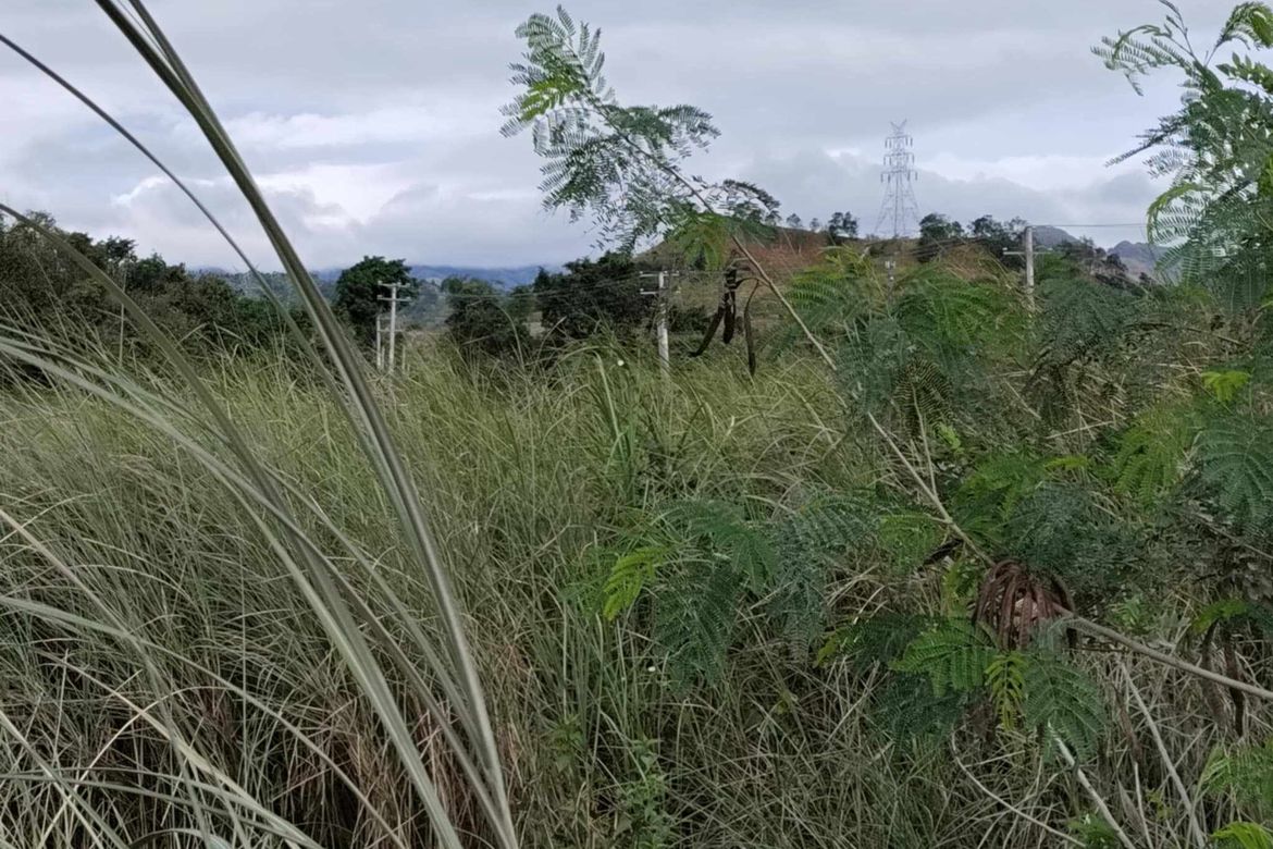 Land for Sale in Consuelo, Floridablanca, Pampanga – photo 4