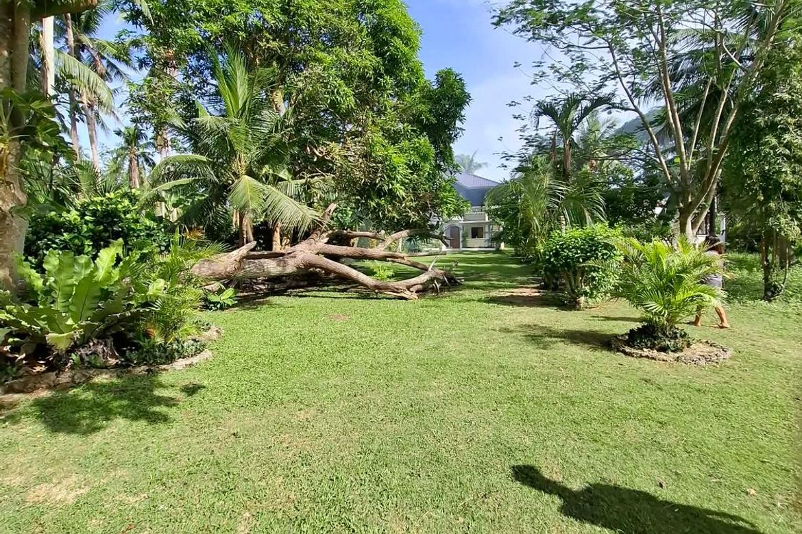 Land for Sale in Consuelo, San Francisco, Cebu – photo 2