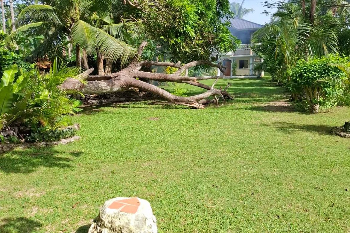 Land for Sale in Consuelo, San Francisco, Cebu – photo 4