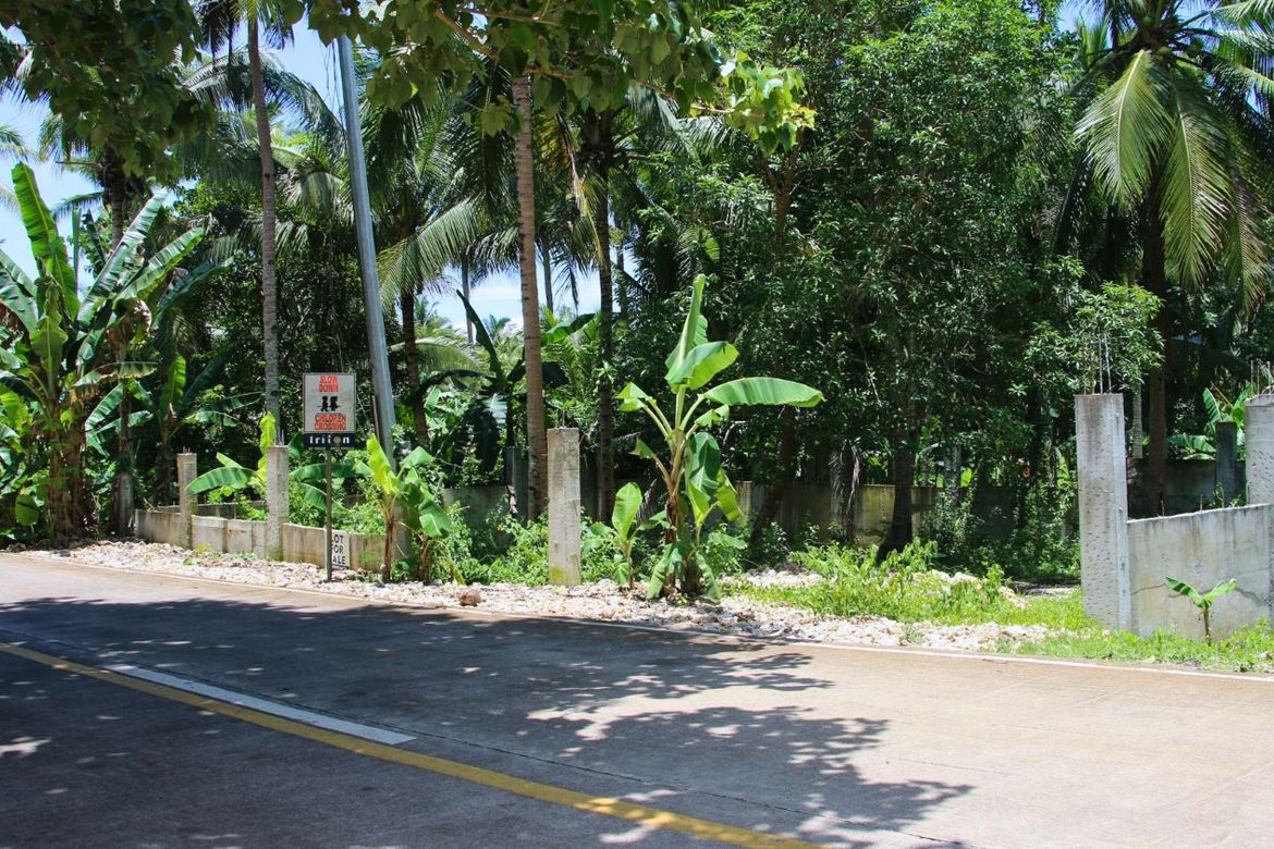 Land for Sale in Consuelo, San Francisco, Cebu
