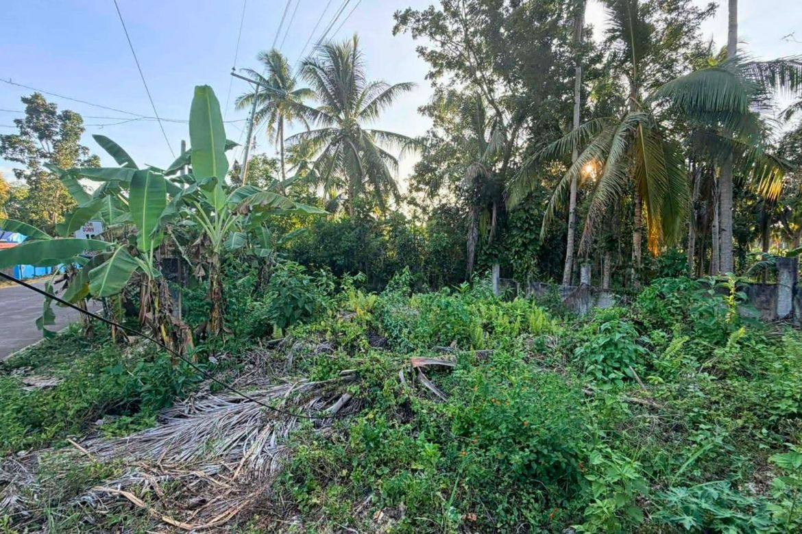Land for Sale in Consuelo, San Francisco, Cebu – photo 2