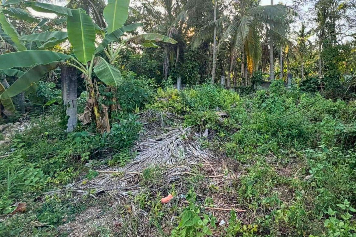 Land for Sale in Consuelo, San Francisco, Cebu – photo 3