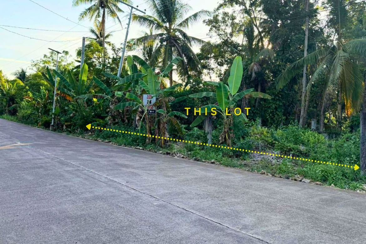 Land for Sale in Consuelo, San Francisco, Cebu – photo 5