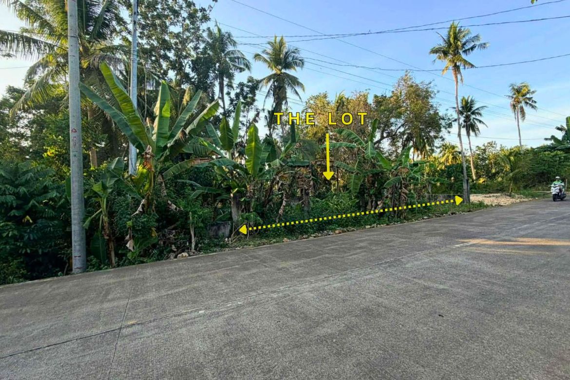 Land for Sale in Consuelo, San Francisco, Cebu – photo 6