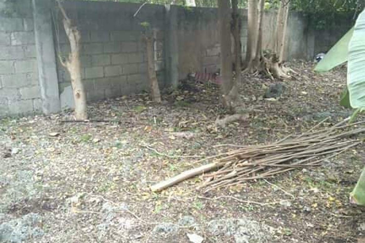 Land for Sale in Cordoba, Cebu – photo 5