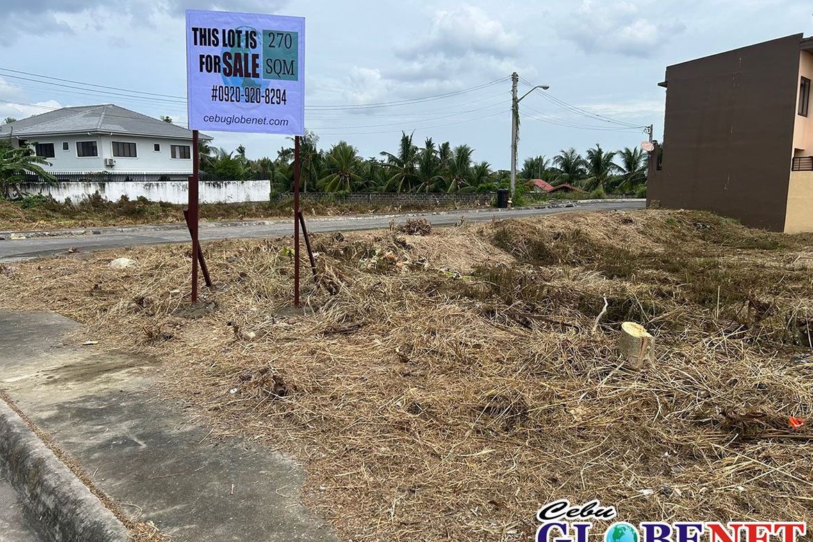 Land for Sale in Corona Del Mar, Pooc, Talisay, Cebu – photo 4