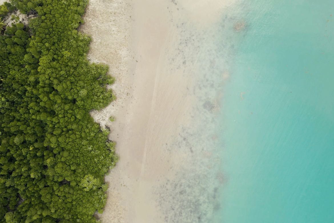 Land for Sale in Corong-corong Poblacion, El Nido, Palawan
