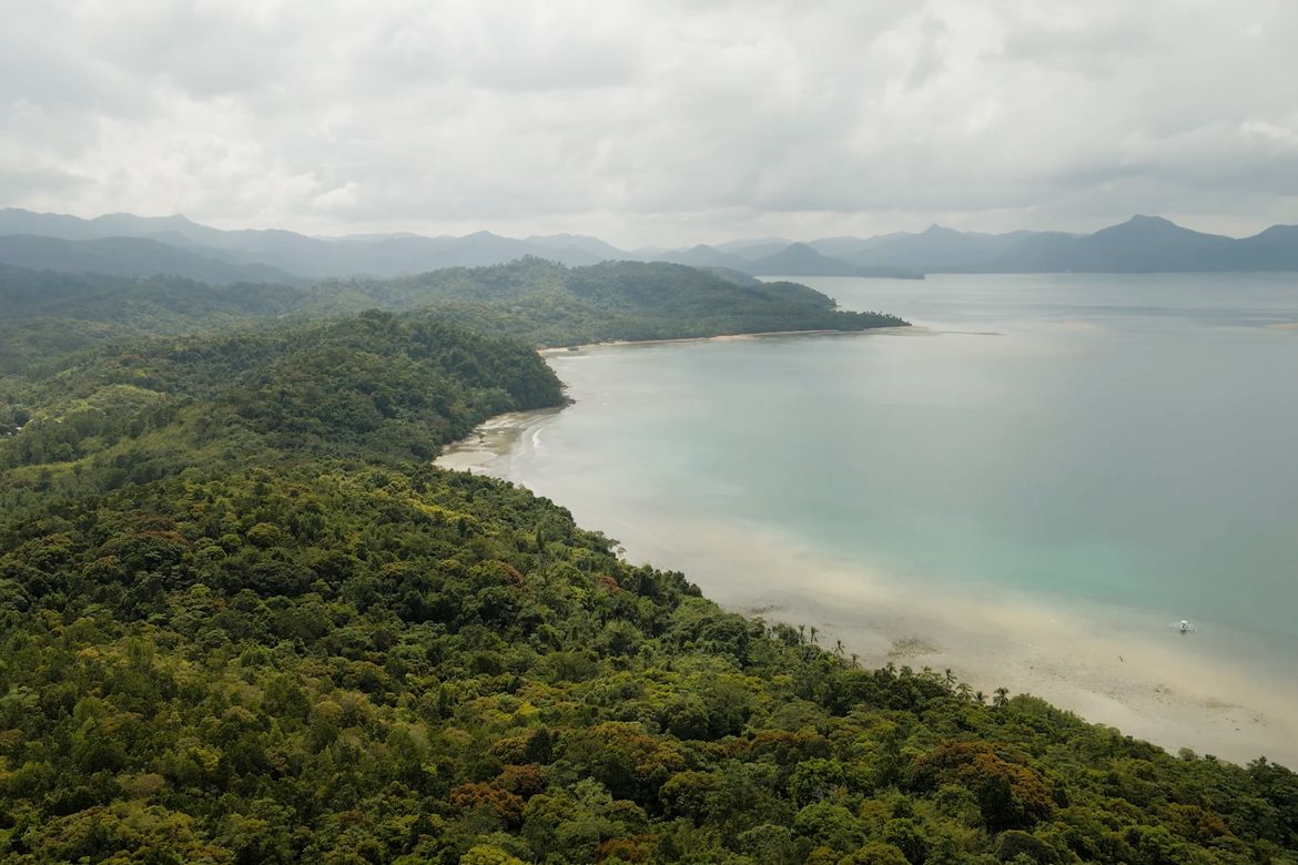 Land for Sale in Corong-corong Poblacion, El Nido, Palawan – photo 3