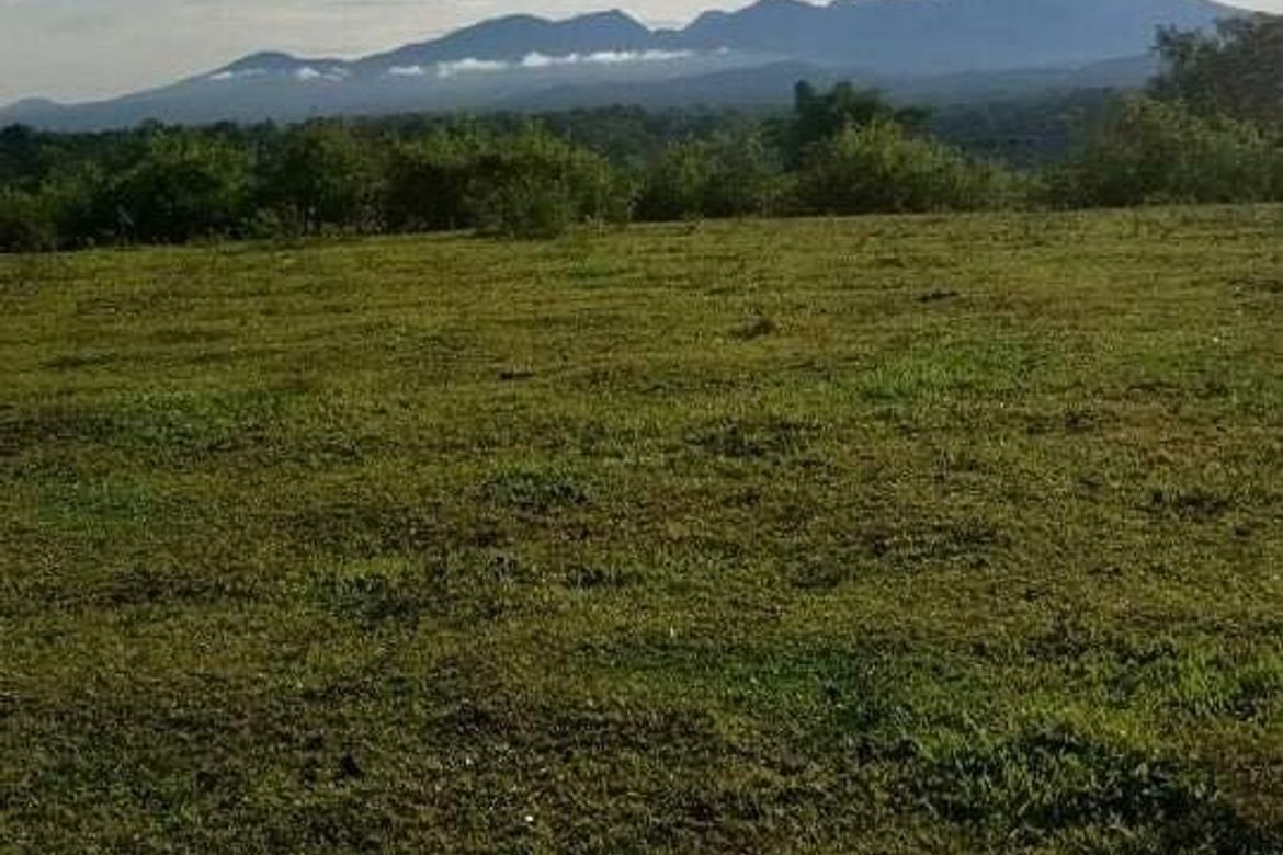 Land for Sale in Cosina, Talakag, Bukidnon