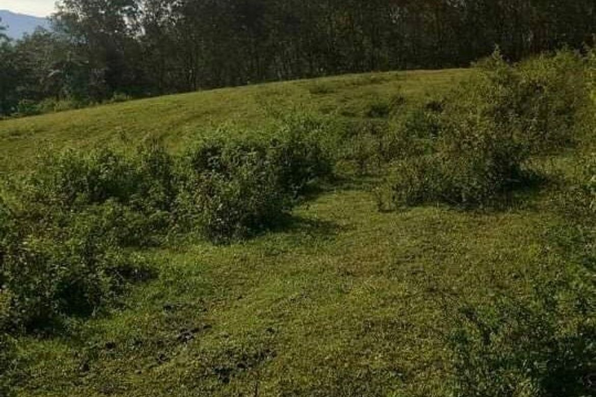 Land for Sale in Cosina, Talakag, Bukidnon – photo 5