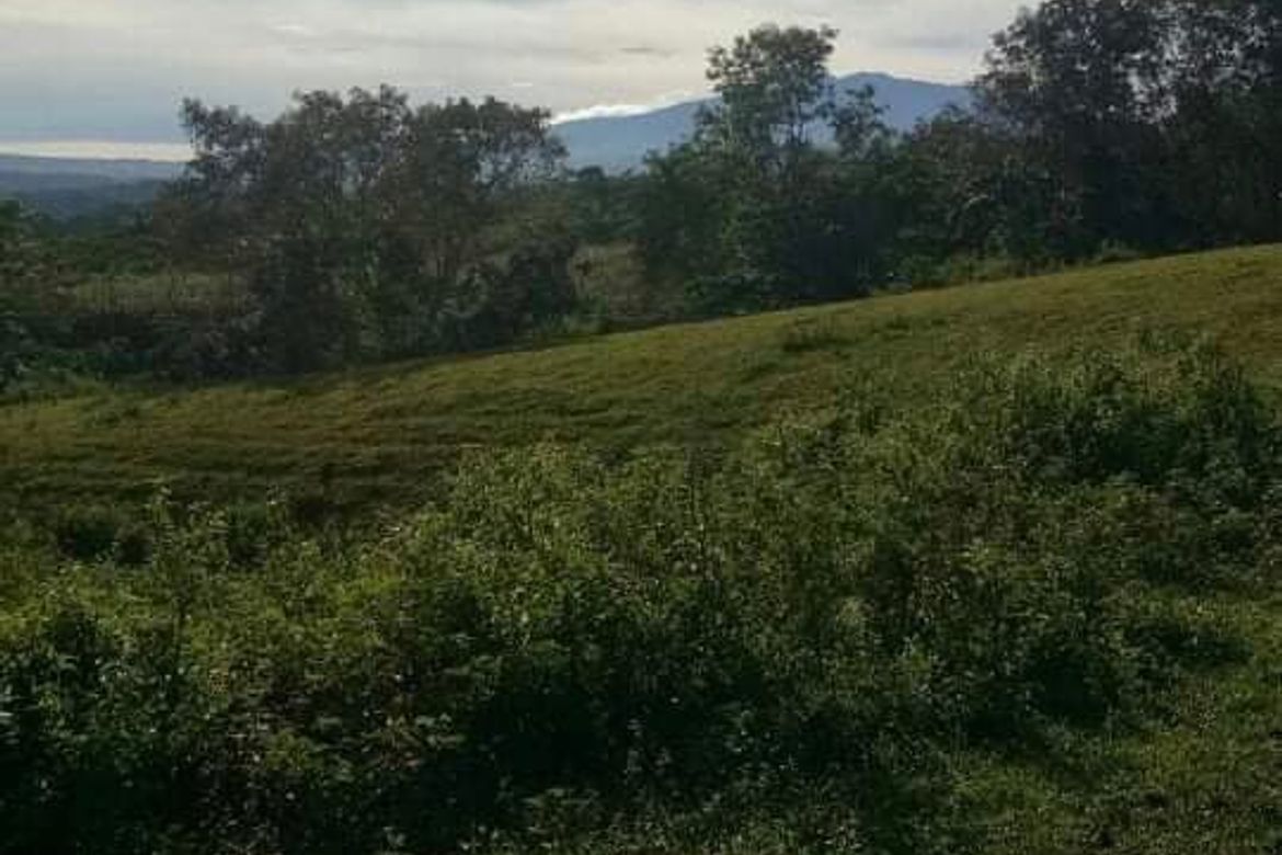 Land for Sale in Cosina, Talakag, Bukidnon – photo 6