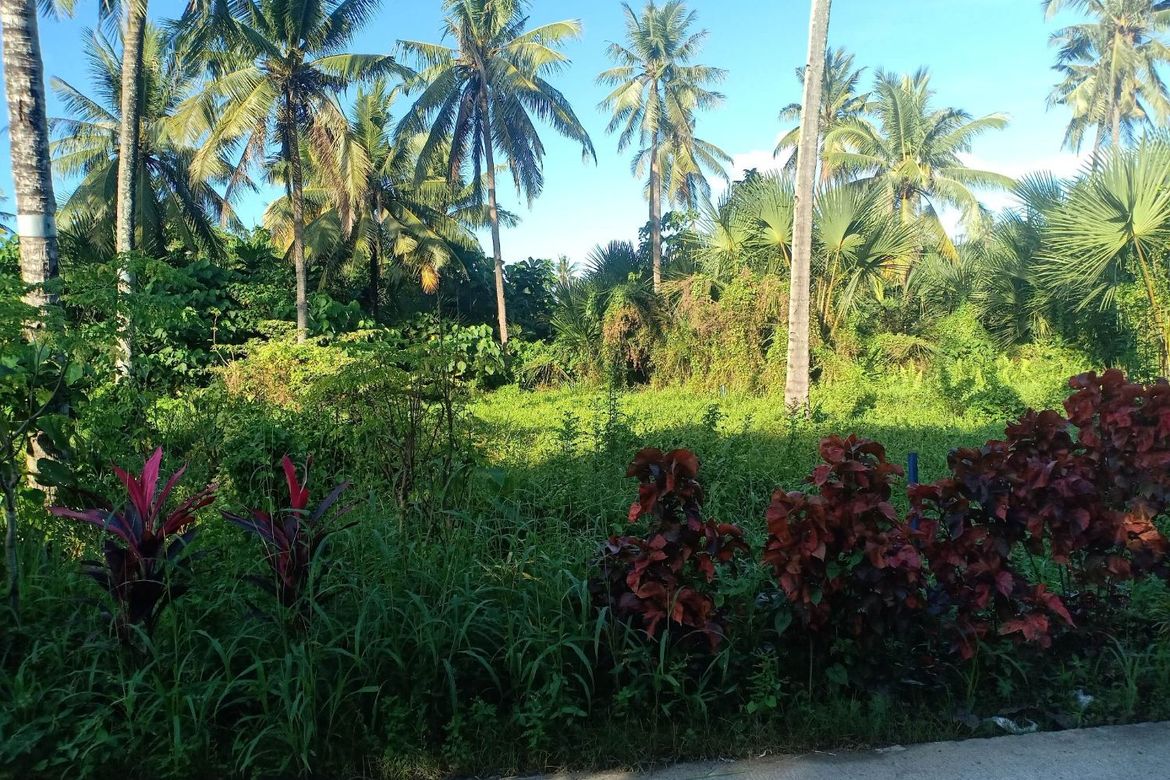 Land for Sale in Cotcot, Liloan, Cebu