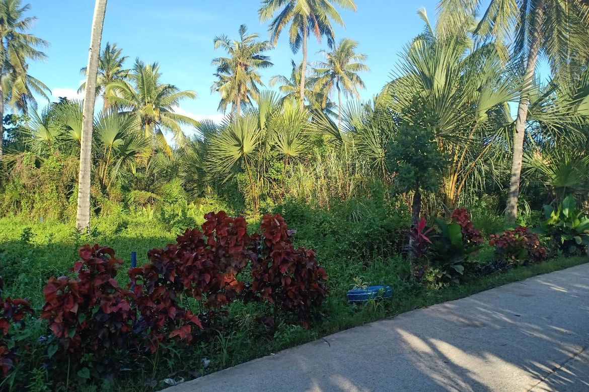 Land for Sale in Cotcot, Liloan, Cebu – photo 4