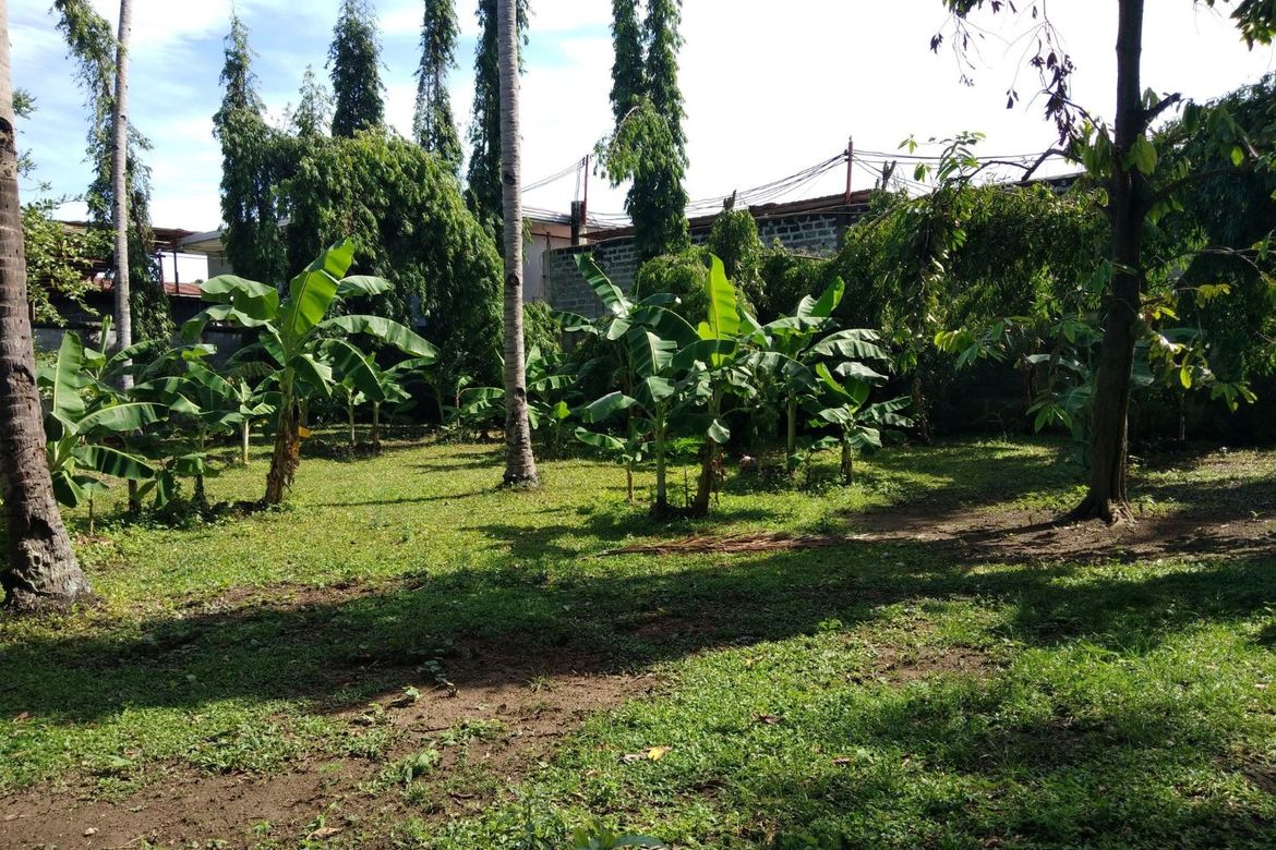 Land for Sale in Cotcot, Liloan, Cebu – photo 3