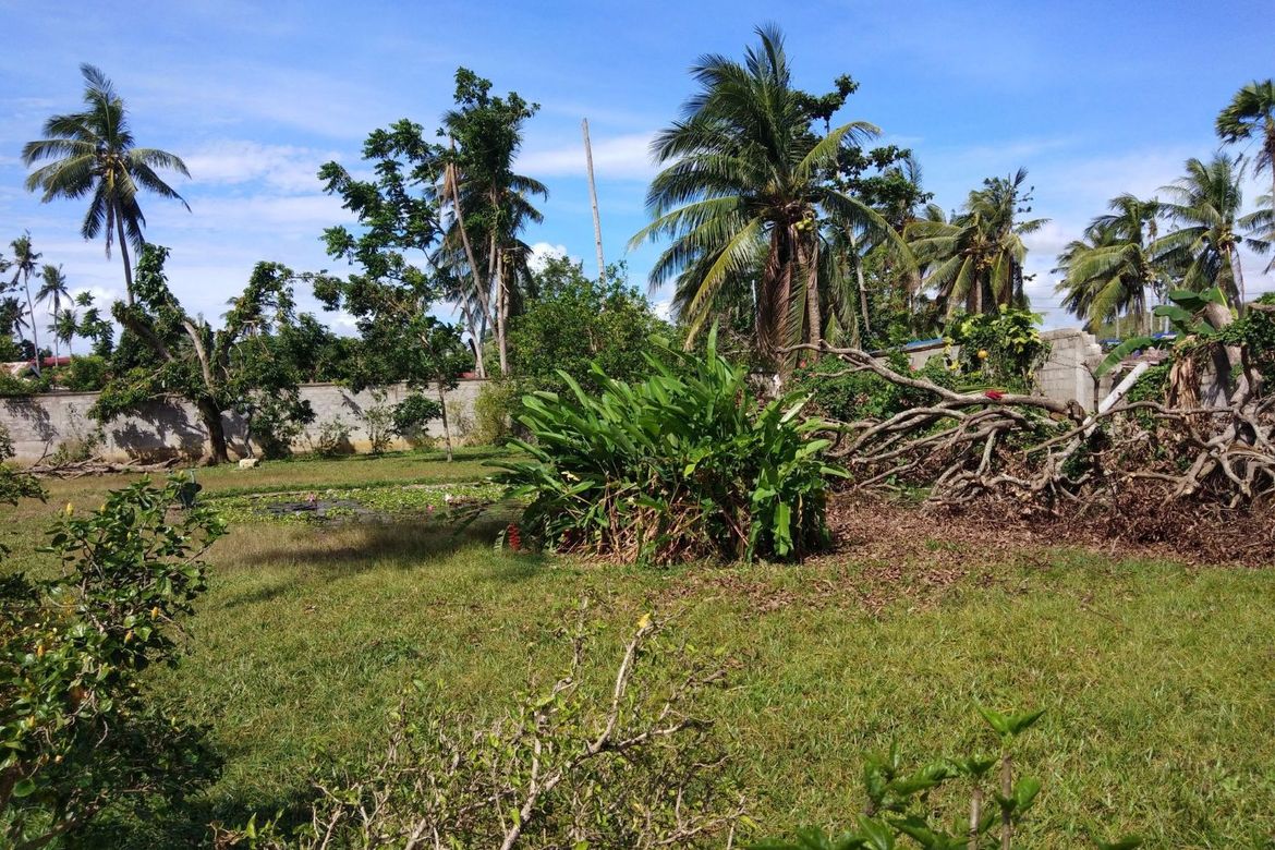 Land for Sale in Cotcot, Liloan, Cebu – photo 6