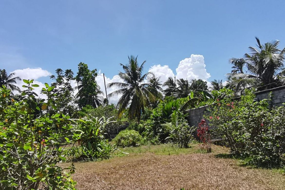 Land for Sale in Cotcot, Liloan, Cebu – photo 2