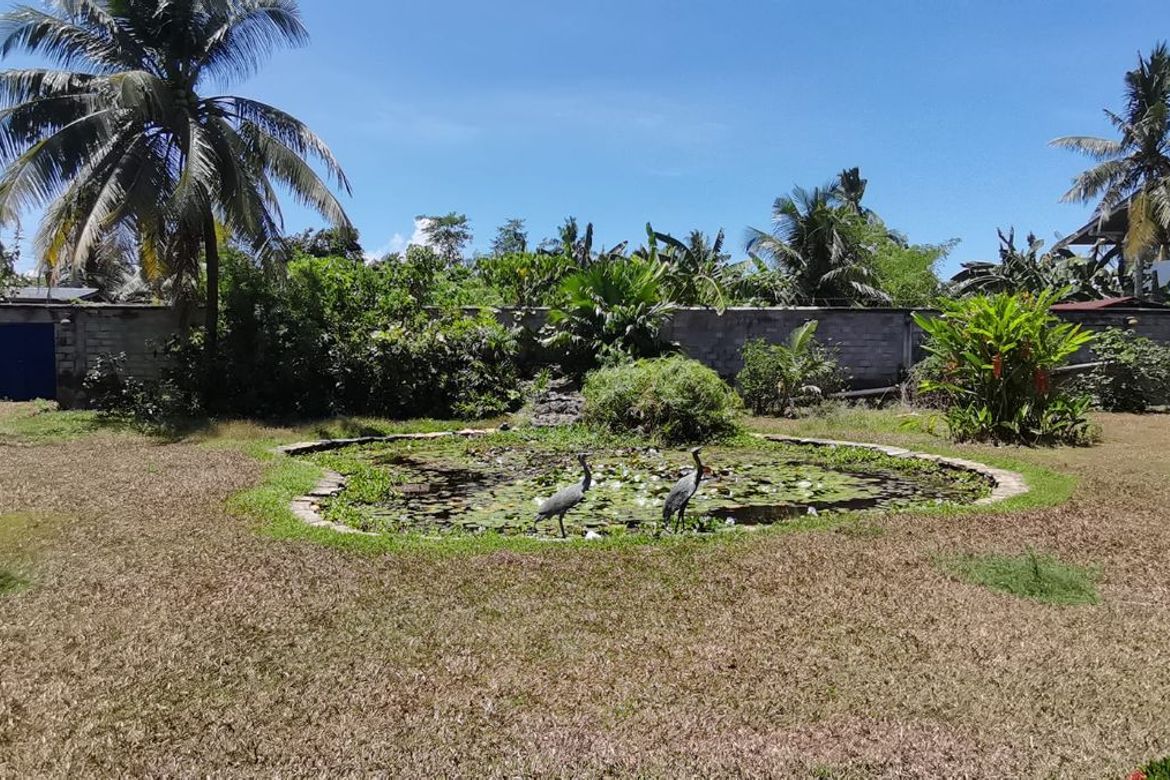 Land for Sale in Cotcot, Liloan, Cebu – photo 3
