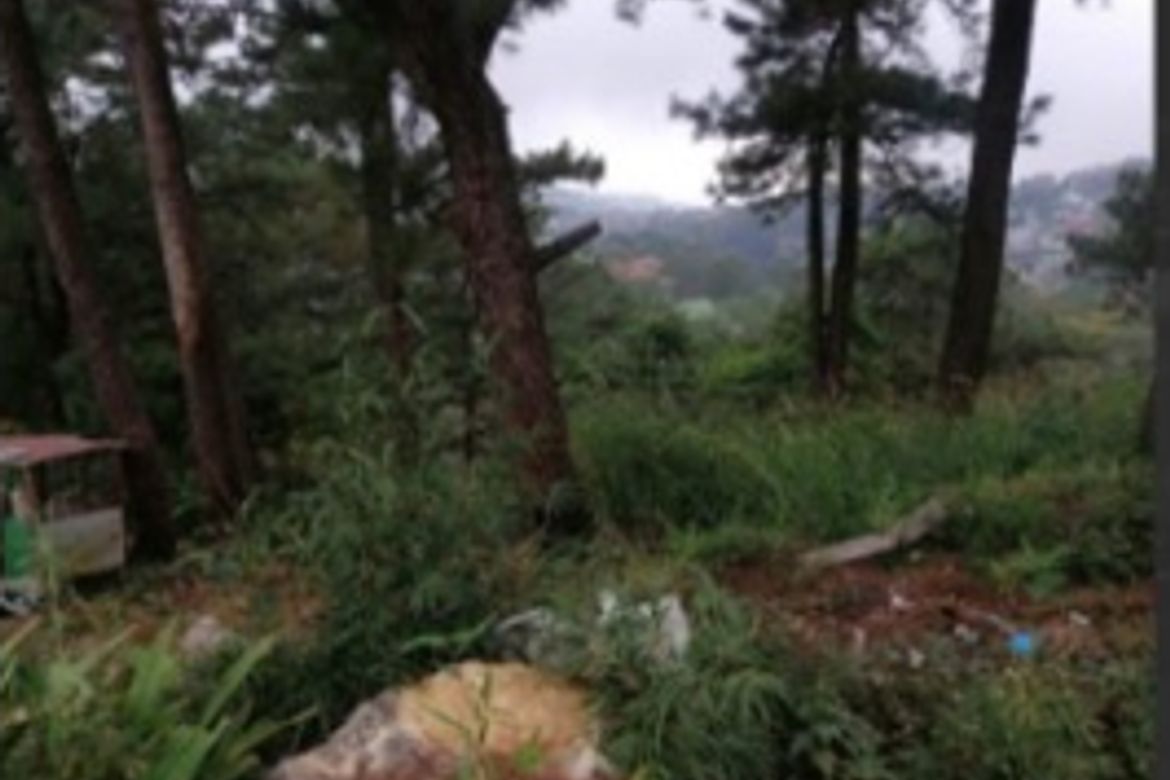 Land for Sale in Country Club Village, Baguio, Benguet – photo 3