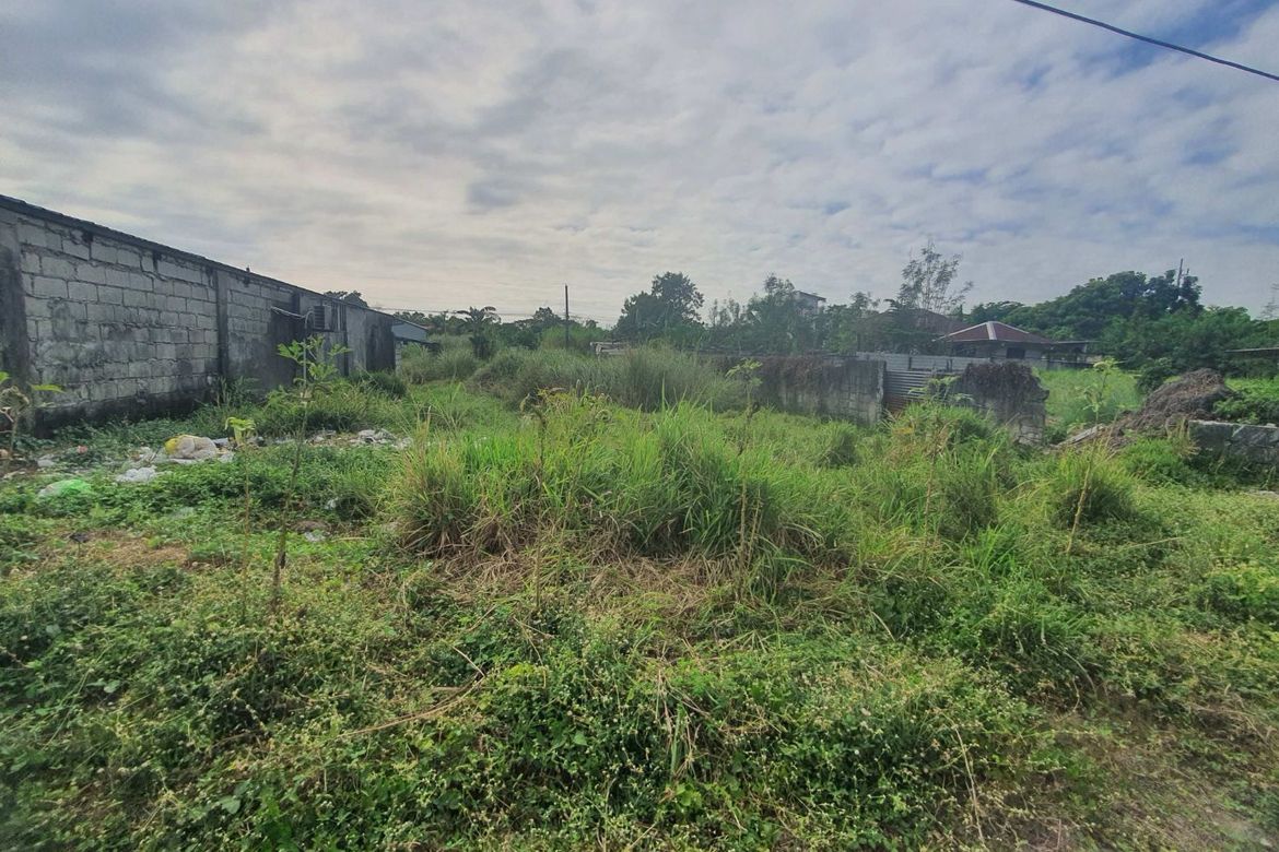 Land for Sale in Cristo Rey, Capas, Tarlac
